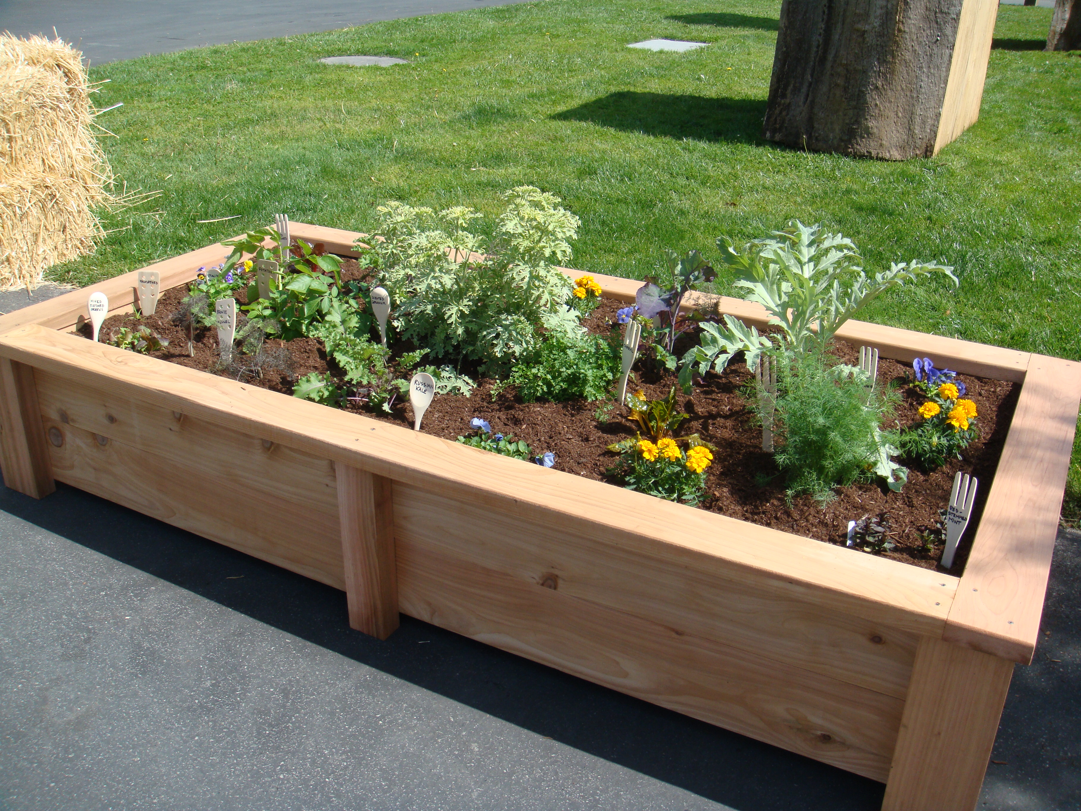 Raised beds for a vegetable garden. Gardening