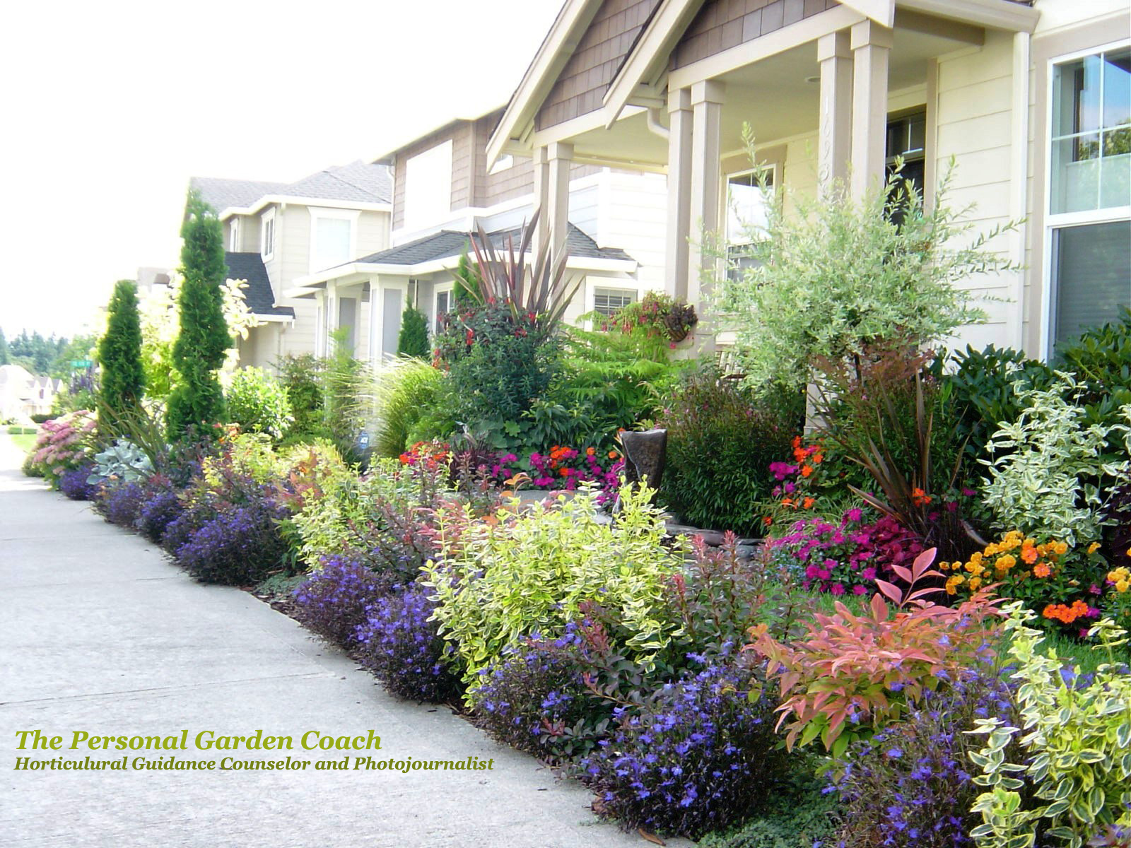 Curb appeal or the first impression = A homes CHARISMA